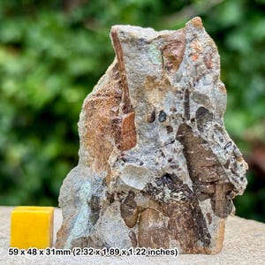 May include: A rough-hewn rock specimen with a mix of brown, gray, and tan tones. The rock has a textured surface and irregular shape. A small, yellow cube is next to the rock. The text on the image reads: 59 x 48 x 31mm (2.32 x 1.89 x 1.22 inches).