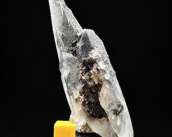 May include: A tall, translucent quartz crystal cluster featuring a prominent, sharp point and a dark, textured mineral inclusion embedded within its structure. The specimen measures 3.66 x 1.06 x 0.83 inches, displayed next to a small yellow cube.