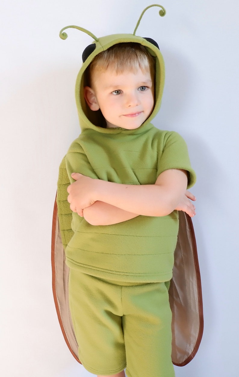 bernard suits the grasshopper bernard suits the grasshopper