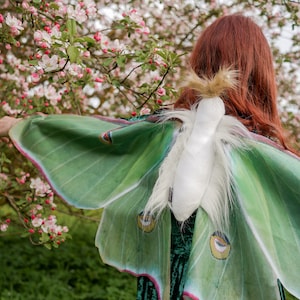 Luna Moth Costume for Kids Luna Moth Wings Butterfly costume Handmade costume Halloween costume image 10