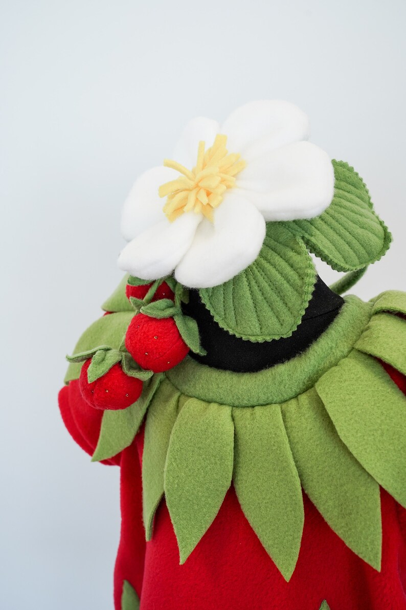 Halloween costume Fruit costume Handmade costume Strawberry Costume for Girls Kids Strawberry Costume