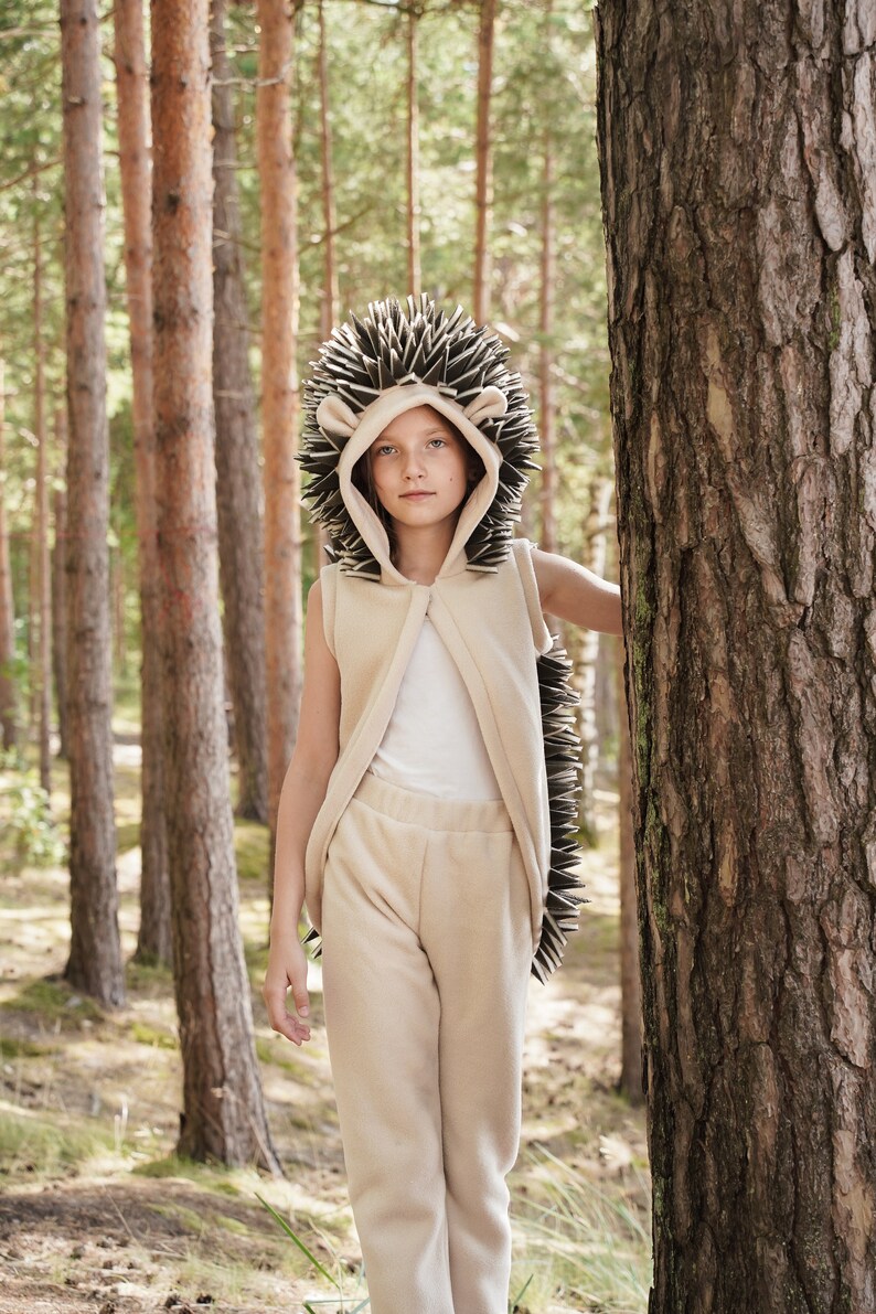 Hedgehog Costume for Kids  Kids Costume  Animal Costume  image 8