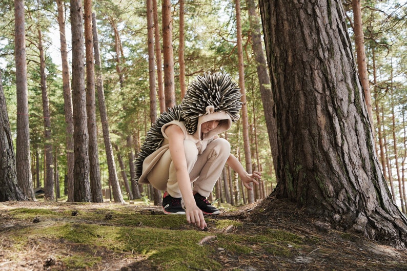 Hedgehog Costume for Kids  Kids Costume  Animal Costume  image 4