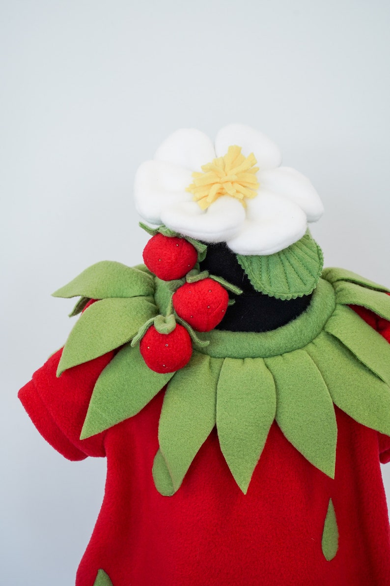 Halloween costume Fruit costume Handmade costume Strawberry Costume for Girls Kids Strawberry Costume