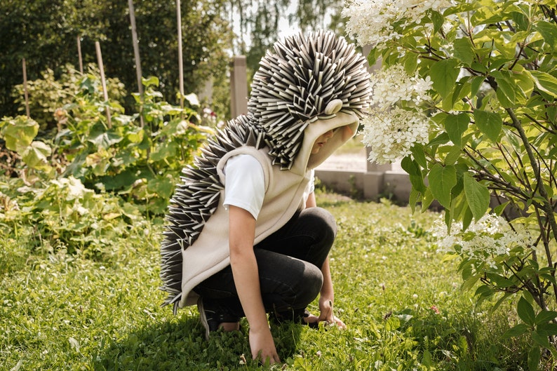 Hedgehog Vest for Kids Hedgehog Costume Handmade Costume image 2