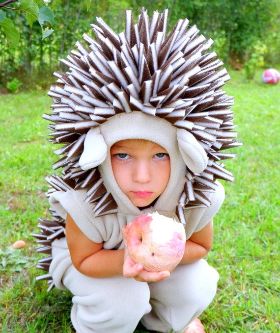 Hedgehog Costume for Kids Kids Costume 