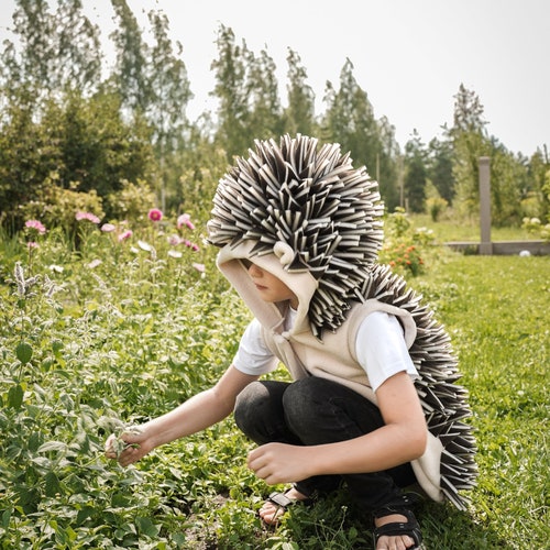 Hedgehog Vest for Kids - Hedgehog Costume - Handmade Costume