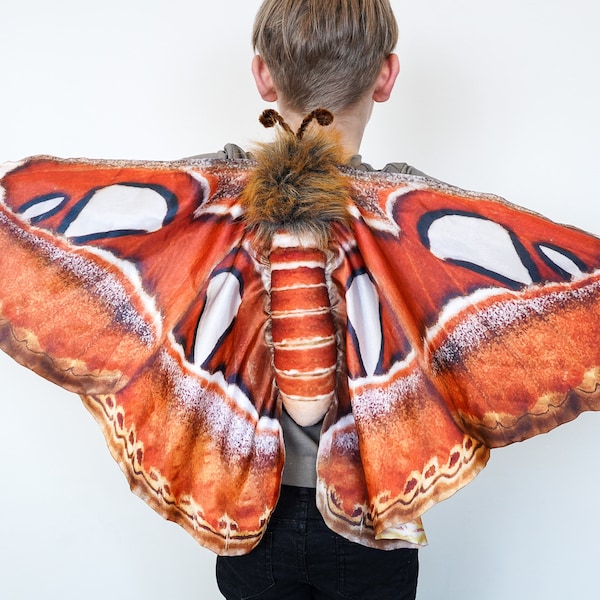 Atlas Moth Costume pour enfants - Costume de papillon - Ailes de papillon - Costume fait main - Costume d'Halloween