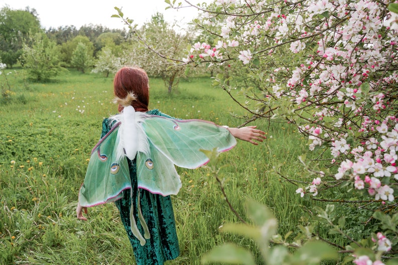 Luna Moth Costume for Kids Luna Moth Wings Butterfly costume Handmade costume Halloween costume image 2