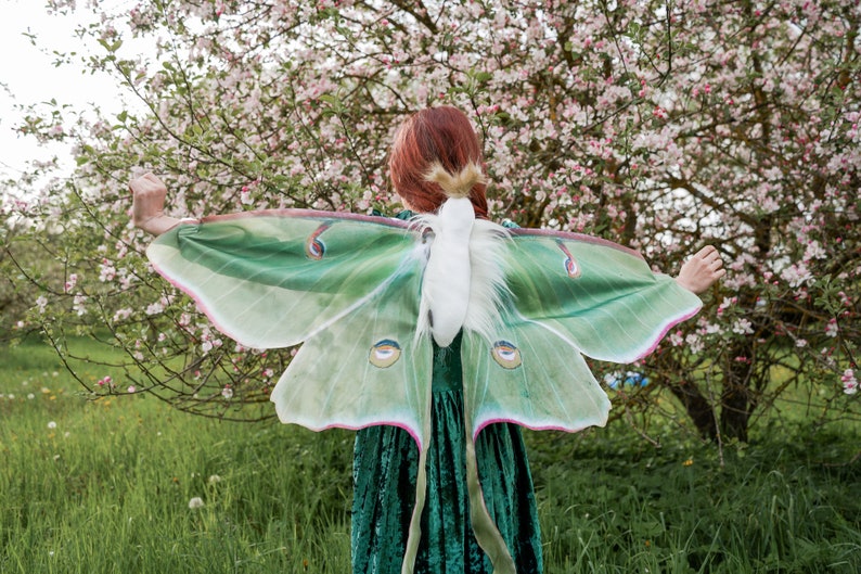 Luna Moth Costume for Kids Luna Moth Wings Butterfly costume Handmade costume Halloween costume image 4