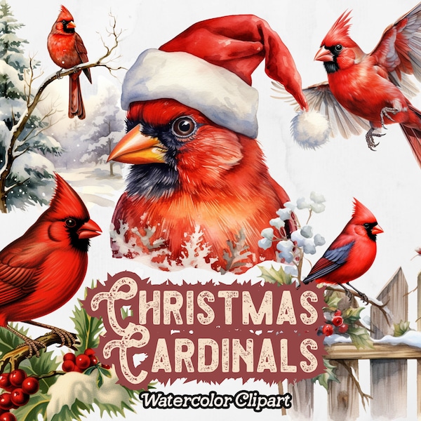 Christmas Cardinals Clipart, Watercolor Red Cardinal PNG, Winter Cardinals, Christmas Bird Clipart, Instant Download, Transparent Background