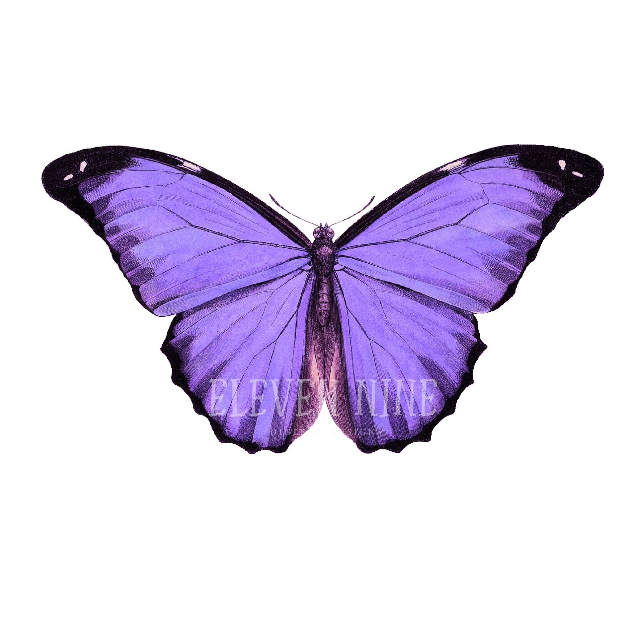 Butterfly Clipart Purple Butterfly Clipart Butterfly Digital - Etsy