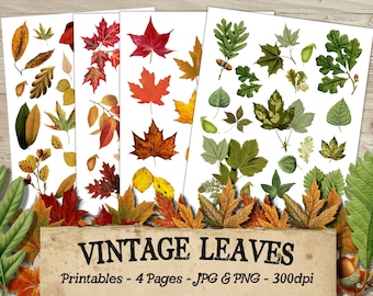 Printable Fussy Cut Digital Leaves, Vintage Flower Ephemera, Junk Journal, Scrapbook, Printable Collage Sheets, Digital Download