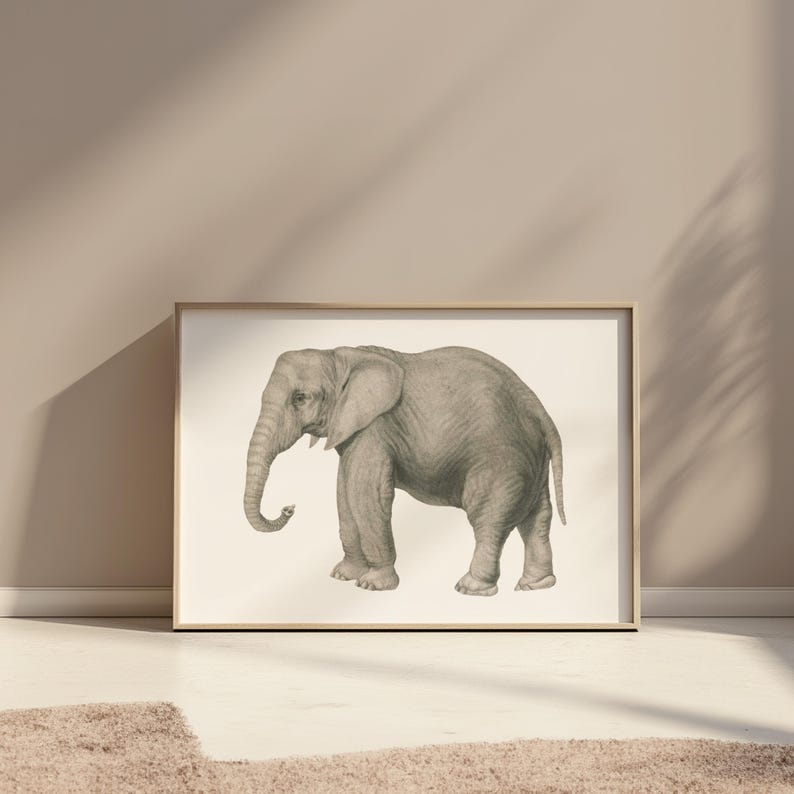 Clipart di elefanti, download digitale di elefanti, elefanti africani, clipart di safari, illustrazione di animali antichi, PNG di elefanti immagine 5