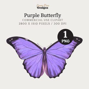 Schmetterling Clipart, lila Schmetterling Clipart, Schmetterling Digital Download, druckbare Vintage Schmetterling Illustration PNG, Schmetterling Grafik