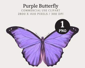 Butterfly Clipart, Purple Butterfly Clipart, Butterfly Digital Download, Printable Vintage Butterfly Illustration PNG, Butterfly Graphic