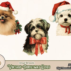 May include: Three vintage illustrations of small breed dogs wearing Christmas hats and accessories. A Pomeranian wearing a red Santa hat with a holly sprig, a Shih Tzu wearing a red bow, and a Maltese wearing a red Santa hat with a red ribbon.