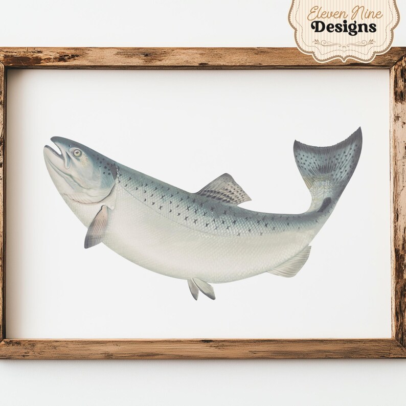 May include: A framed illustration of a silver and gray salmon fish with black spots. The fish is swimming upwards with its mouth open. The frame is made of wood with a brown stain.