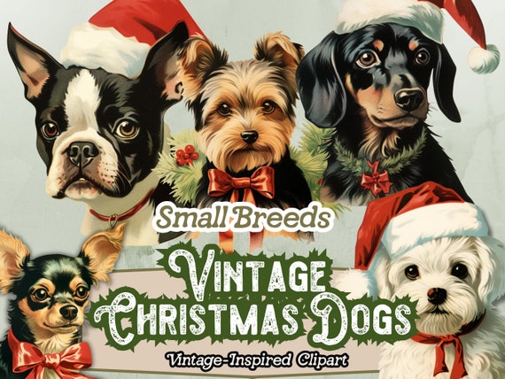 Christmas Dogs PNG Clipart, Christmas Puppies Clipart, Small Dog Breeds, French Bulldog PNG, Chihuahuas, Graphics for Paper Crafts, Design