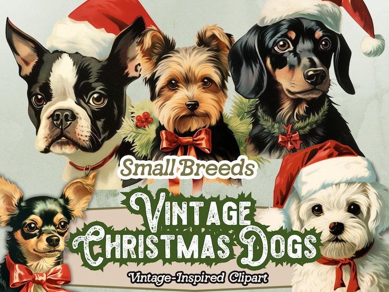 May include: Vintage Christmas clipart featuring four small breed dogs wearing Santa hats. The dogs are a Boston Terrier, a Yorkshire Terrier, a Dachshund, and a Maltese. The text "Small Breeds Vintage Christmas Dogs Vintage-Inspired Clipart" is displayed below the dogs.
