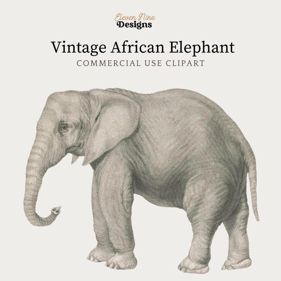 Elephant Clip art, Elephant digital download, African Elephant, Safari Clipart, Antique Animal Art Illustration, Elephant PNG