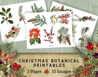 Puede incluir: Tres páginas imprimibles con 15 ilustraciones botánicas de vegetación invernal, bayas y flores. Las ilustraciones son de estilo vintage y son perfectas para manualidades o decoración.