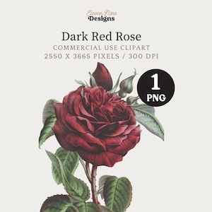 Rose rouge Clip Art, Rose vintage, Rose en téléchargement numérique, Rose numérique, Clipart fleur rouge, impression d'Art Rose, Illustration Rose, Rose PNG