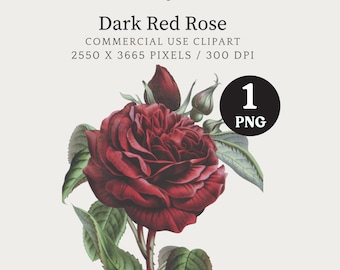 Red Rose Clip Art, Vintage Rose, Rose Digital Download, Digital Rose, Red Flower Clipart, Rose Art Print, Rose Illustration, Rose PNG
