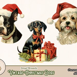May include: Three vintage Christmas dog illustrations. A black and white Boston Terrier wearing a red Santa hat, a brown and tan Dachshund wearing a red ribbon and a white and brown dog wearing a red Santa hat. All three dogs are holding or near Christmas presents.