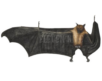 Bat Clipart, Bat Digital Download, Flying Bat, Vintage Bat Illustration, Black Bat PNG JPG