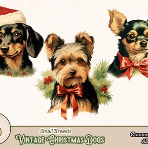 May include: Three vintage Christmas dog illustrations. A dachshund wearing a red Santa hat, a Yorkshire Terrier with a red bow and a Chihuahua with a red bow. All dogs are surrounded by green holly.