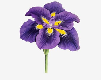アイリスの花のクリップアート、日本のアイリスの花、紫色の花の