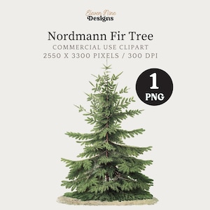 Kerstboom clipart, boom clipart, boom illustratie, vintage boom, natuur clipart, kerstboom png, dennenboom, bosrijke boom kunst