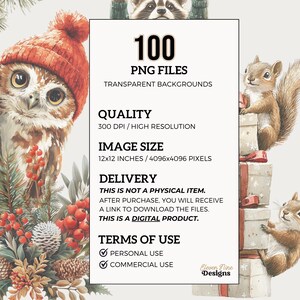 Woodland Christmas Clipart Bundle – Pngs of Cute Forest Animals in ...