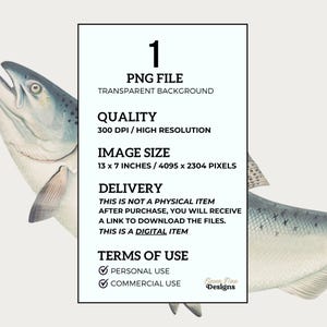 May include: Digital download of a high-resolution image of a salmon fish with a transparent background. The image is 13 inches by 7 inches and 300 DPI. The image is for personal and commercial use.