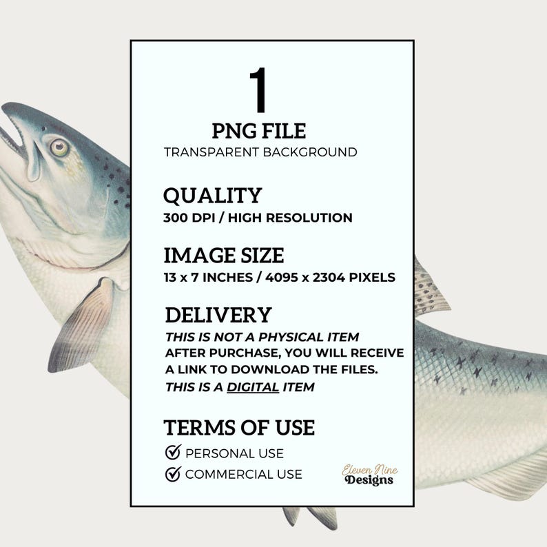 May include: Digital download of a high-resolution image of a salmon fish with a transparent background. The image is 13 inches by 7 inches and 300 DPI. The image is for personal and commercial use.