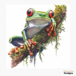 May include: A watercolour painting of a bright green tree frog with large red eyes, resting on a moss-covered branch. The frog has an off-white belly and orange toes. The branch is brown with green moss.
