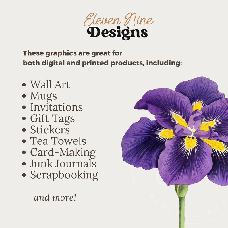 Iris Flower Clipart, Japanese Iris Flower, Purple Flower Digital Download, Vintage Botanical Illustration Print, Iris Purple Flower PNG image 5