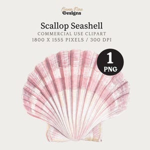 Seashell Clipart, Seashell Digital Download, Tropical Beach Clipart, Scallop Seashell PNG, Vintage Nautical Illustration