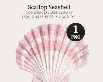 Seashell Clipart, Seashell Digital Download, Tropical Beach Clipart, Scallop Seashell PNG, Vintage Nautical Illustration