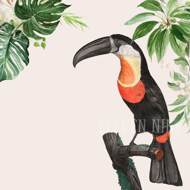 May include: A toucan with a black body, red throat, and yellow beak perched on a branch with green leaves. The toucan is facing right and has a white stripe on its beak.