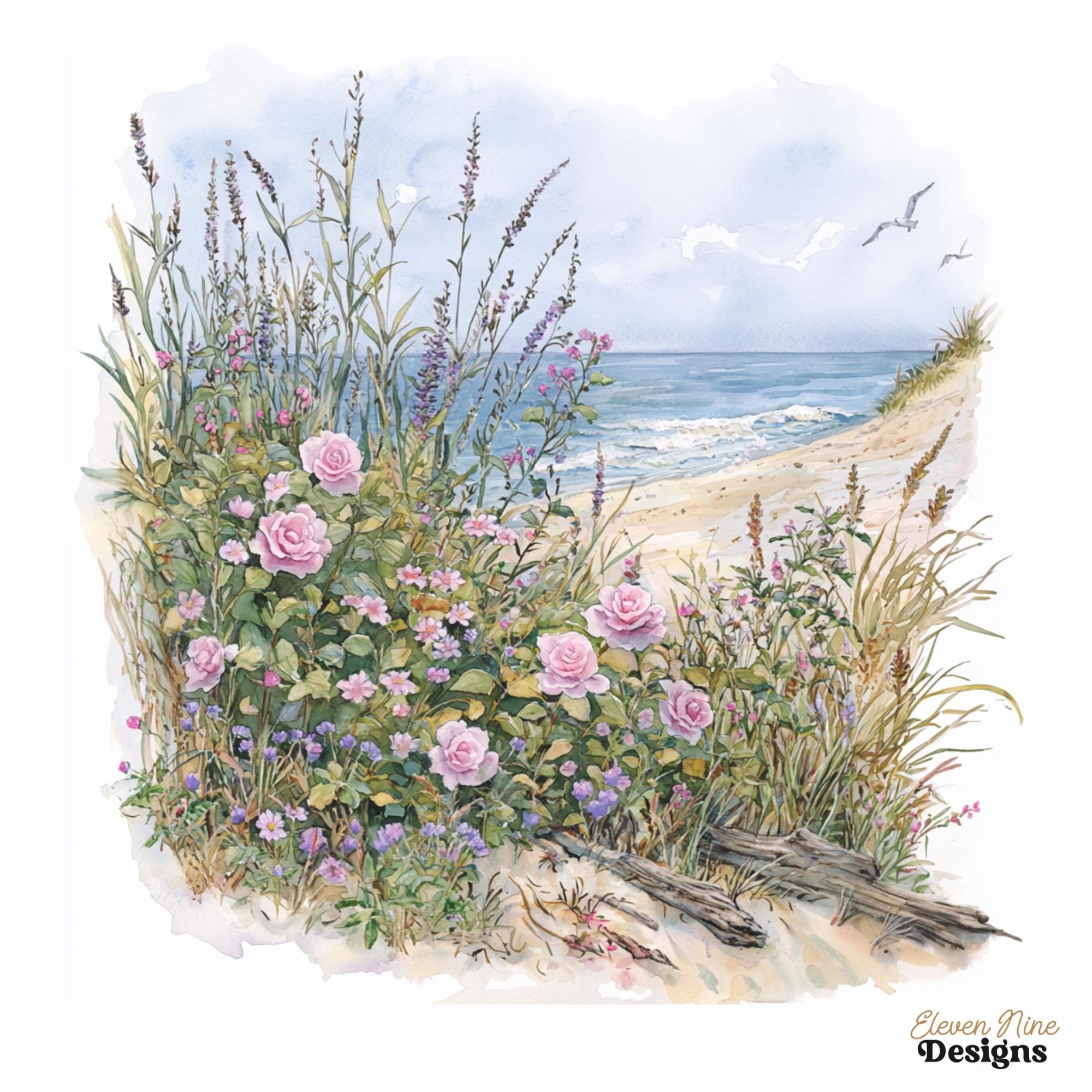 Coastal Massachusetts Wildflowers Clipart, Flower Bed Illustrations ...