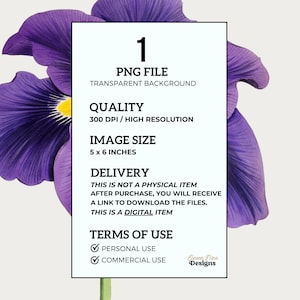Iris Flower Clipart, Japanese Iris Flower, Purple Flower Digital Download, Vintage Botanical Illustration Print, Iris Purple Flower PNG image 7
