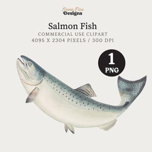 Fish Clipart, Salmon Clipart, Fish Digital Download, Fishing Clipart, Salmon PNG JPG, Fish PNG, Vintage Fish Illustration Print