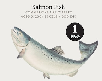 Fish Clipart, Salmon Clipart, Fish Digital Download, Fishing Clipart, Salmon PNG JPG, Fish PNG, Vintage Fish Illustration Print