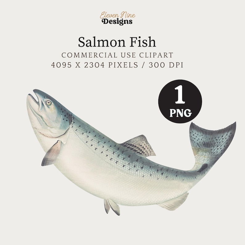 May include: A detailed illustration of a salmon fish with a white body and gray spots. The fish is facing to the right and has a slightly open mouth. The tail is fanned out and the fins are visible.