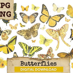 Butterflies Digital Collage Sheet, Yellow Butterfly, Butterflies Digital Download, Butterfly Ephemera Collage, Vintage Butterflies Printable