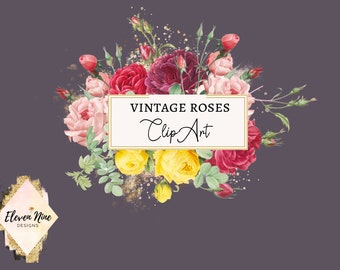 Roses PNG, Flowers PNG, Vintage Roses, Rose Clipart, Flower Clipart, Floral Clipart, Vintage Flowers, Botanical Clipart, Digital Download