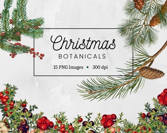 Clipart botanica di Natale, Clipart PNG di vegetazione di Natale, Vegetazione invernale, Clipart floreale di Natale, Foglie di rami vintage Download digitale