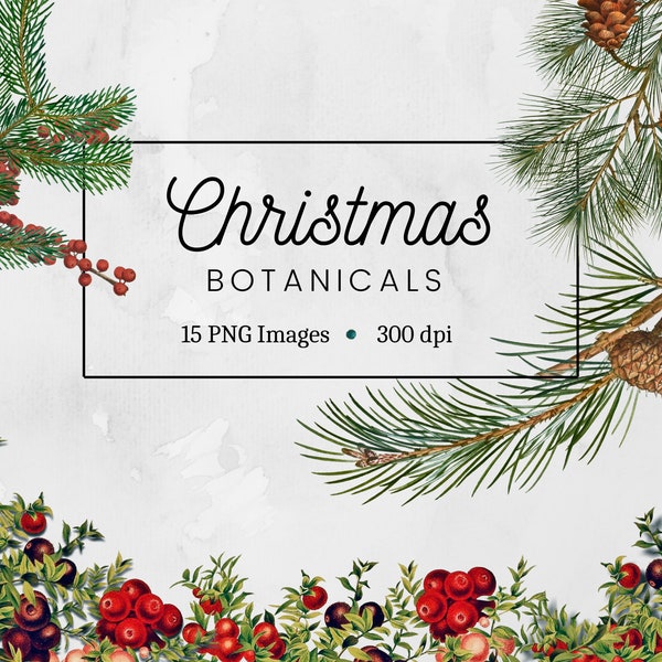 Christmas Botanical Clipart,Christmas Greenery PNG Clipart,Winter Greenery,Christmas Floral Clipart,Vintage Branches Leaves Digital download